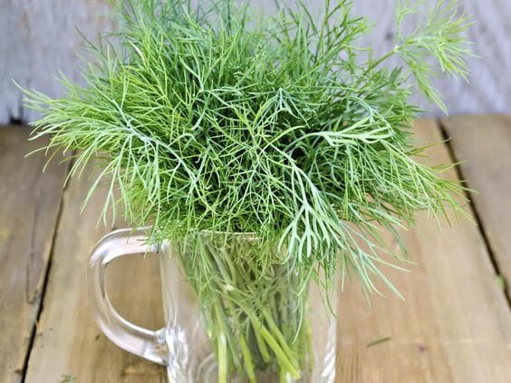 21 Easy And Simple Dill Substitutes