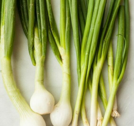 10 Best Spring Onion Substitutes Perfect For Any Dish