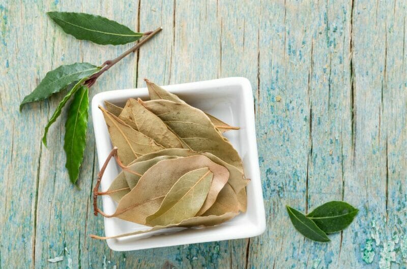 10 Best Sage Substitutes That Taste Just As Perfect 