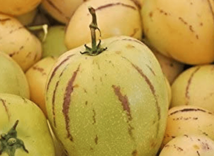 Pepino Melon Taste Article