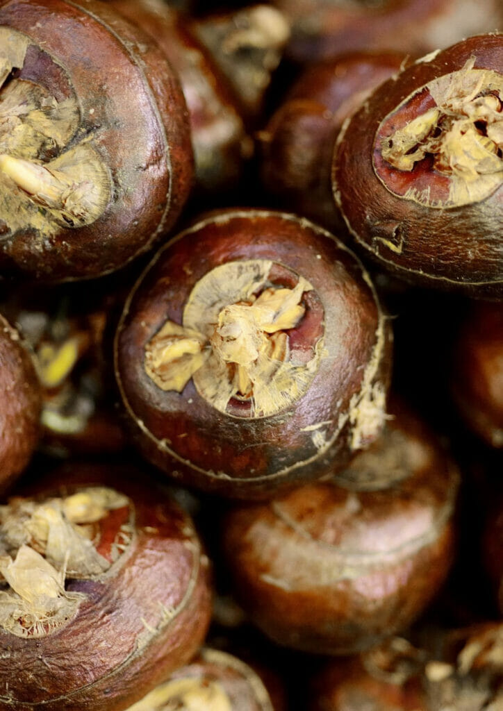 Canned Water Chestnuts as water chestnuts substitute