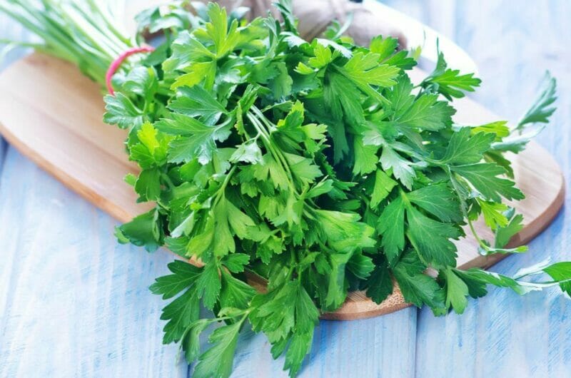 17 Parsley Substitutes That Will Work Favorably For Your Dishes