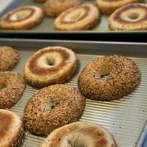 Toast Fresh Bagels In The Oven