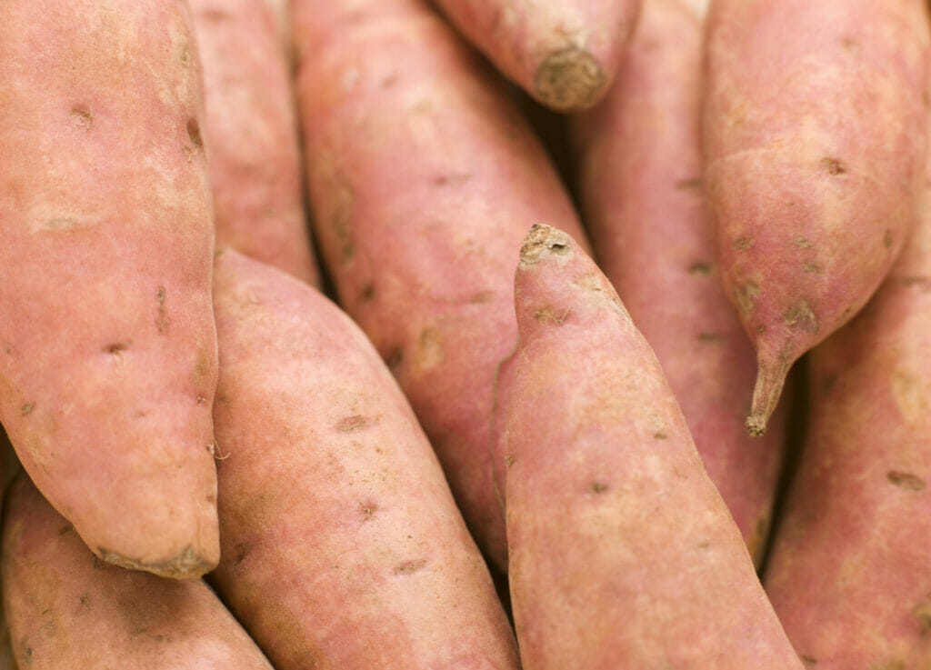 How To Tell If Your Sweet Potatoes Are Bad: Growths/Sprouts
