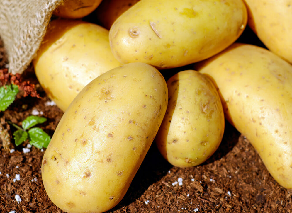 how long do potatoes last in the fridge